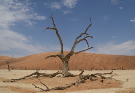 Sossusvallei Death Valley