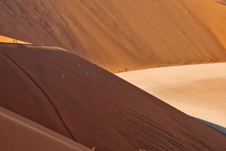 Sossusvlei Deadvlei Big Daddy Cape