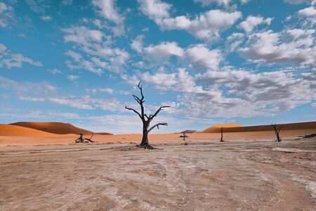 Sossusvlei Deadvlei Cape