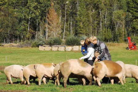 Sostrene Storaas Hotell Boerderij