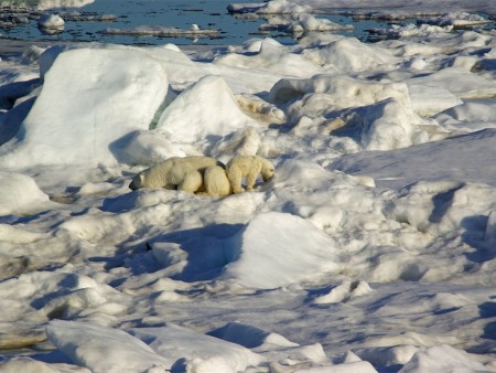 Spitsbergen Rond Hinlopen Straat Hurtrigruten Christoph Schulze Copy