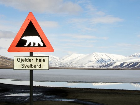 Spitsbergen Rond Longyearbyen Hurtrigruten Dominic Barrington Copy