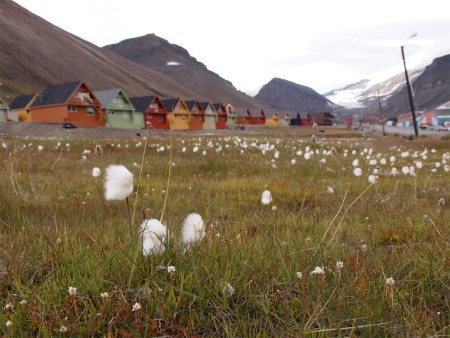 Spitsbergen Rond Longyearbyen Hurtrigruten Veillard Mael Copy