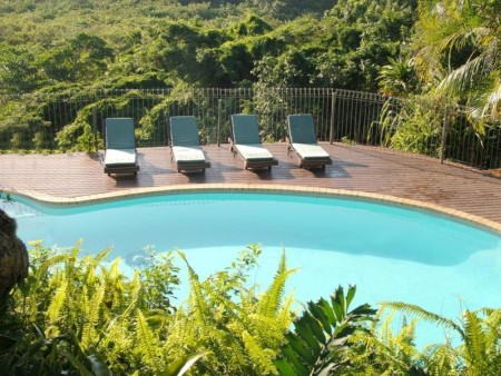 St Lucia Ecolodge 04