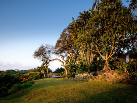 St Lucia Ecolodge 10