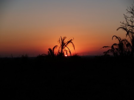 St Lucia Wetlands 710