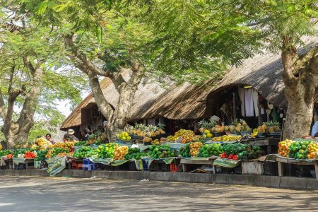 St Lucia Dorp Kwazulu Natal Zuid Afrika Suid Afrika Reise Douwe Baas