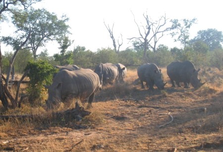 Swaziland Shewula Mountain Camp