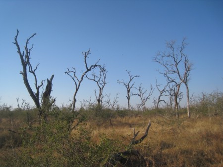 Swaziland Shewula Mountain Camp