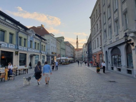 Tallinn Highlight Norge Reiser