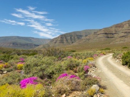 Tankwa Karoo NP 01