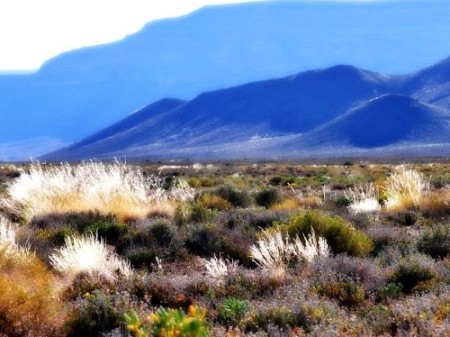 Tankwa Karoo NP 02