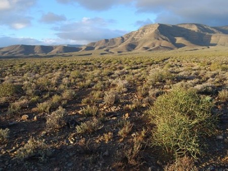 Tankwa Karoo NP 06