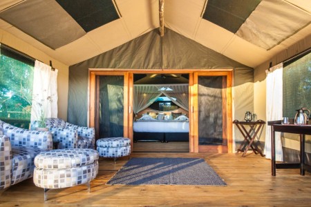 Tent Rra Dinare Under One Botswana Sky