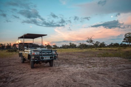 Thornicroft Lodge South Luangwa