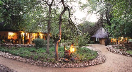 Timbavati   Motswari Game Lodge 04