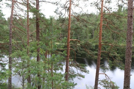 Tiveden National Park Gegidste Wandeling