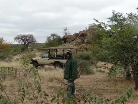 Tuli Block Wild At Tuli