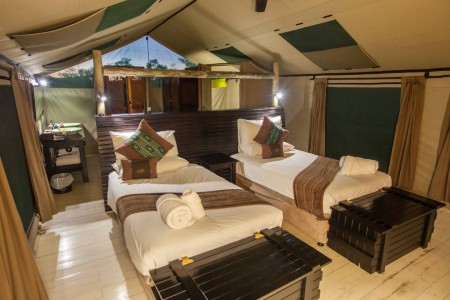 Twin Beds Pom Pom Under One Botswana Sky Paul Changuoin