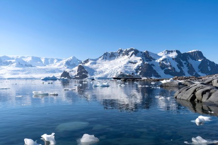 Vaarreis Naar De Pinguins Antarctica Hurtigruten Dave Katz