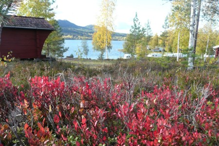 Varmland Sjo Og Fjall Camping Torsby 1