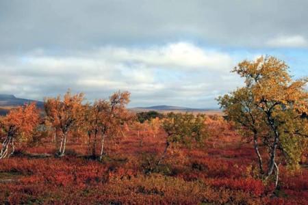 Visit Inari Autumn View 870x435