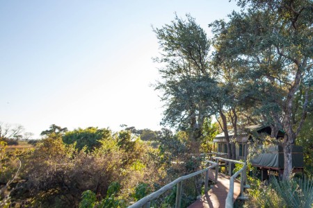 Walkway Rra Dinare Under One Botswana Sky