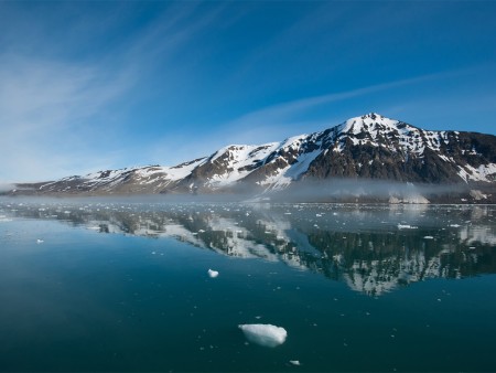 Walvis Safari Oceanwide Expeditions 3