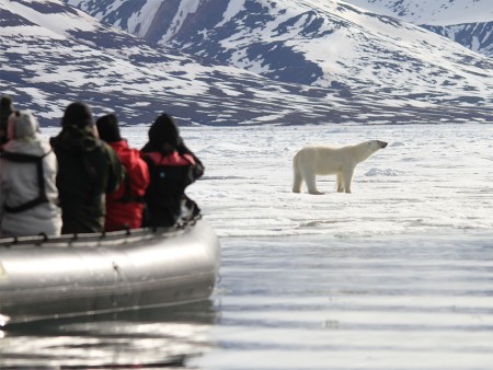 Walvis Safari Oceanwide Expeditions 4