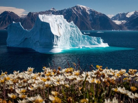 West Groenand Ontdekken Illorsuit Hurtigruten Andrea Klaussner Copy