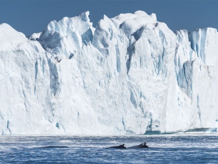 West Groenand Ontdekken Ilulissat Hurtigruten Karsten Bidstrup Copy