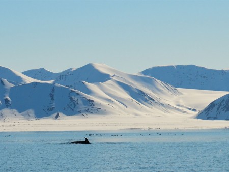 West Spitsbergen Quark Ocean Adventurer 3