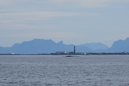 Whale Safari Andenes