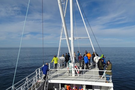 Whale Safari Andenes Walvissafari 7