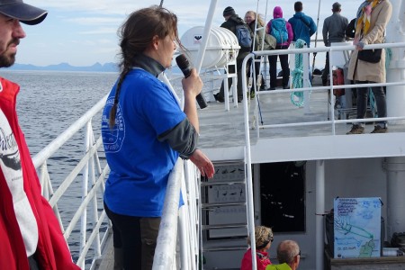 Whale Safari Andenes Walvissafari