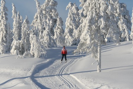 Wintersport Norefjell Egor Ski Spa