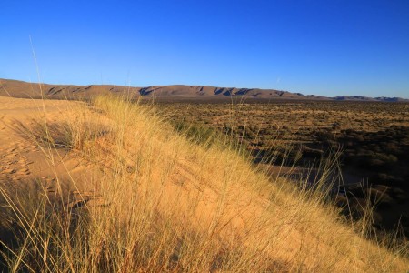 Witsand Nature Reserve