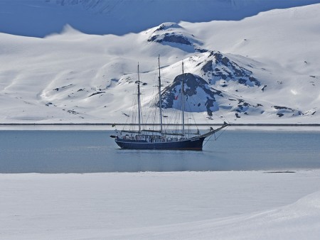 Zomer In Spitsbergen Oceanwide Expeditions 7