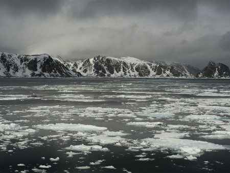 Zomer In Spitsbergen Oceanwide Expeditions 9