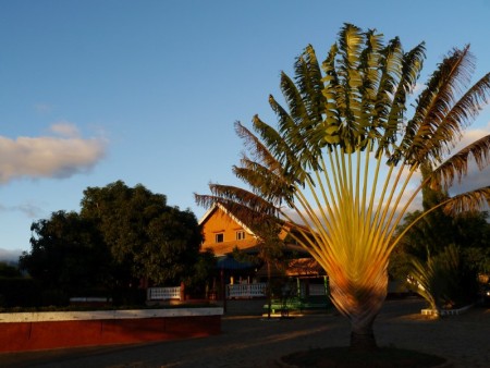 Zongo Hotel 01