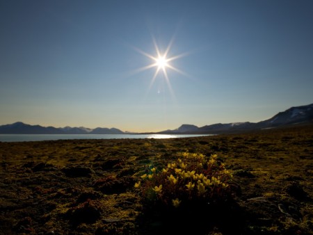 Zuid Spitsbergen Nationaal Park Hurtigruten Dominic Barrington