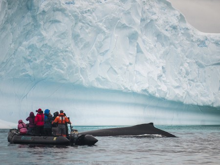 Zuidelijke Poolcirkel Expeditie Oceanwide Expeditions 2