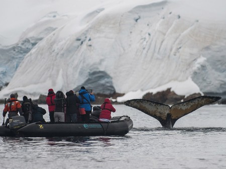 Zuidelijke Poolcirkel Expeditie Oceanwide Expeditions 7