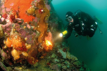 Zuidpool Reis Diving In Antarctica %C2%A9 Carlos Villoch   Oceanwide Expeditions Jpg Carlos Villoch