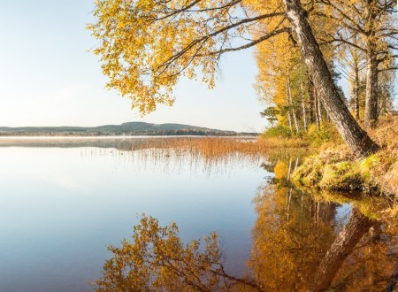 Zweden Varmland Torsby Herfstreis