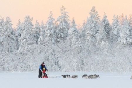 Apukka Resort Hondensledetocht