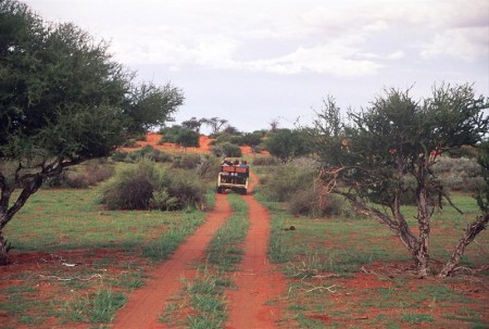 Auob Lodge Kalahari Explorers