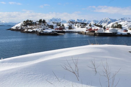 Aurora Borealis Reis Lofoten Vesteralen 2