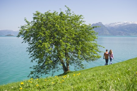 Auto Rondreis Bure A Summers Day In Hardangerfjord Ch Visitnorway