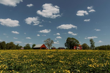 Autorondreis Zweden Vanir Alexander Hall Rural Home